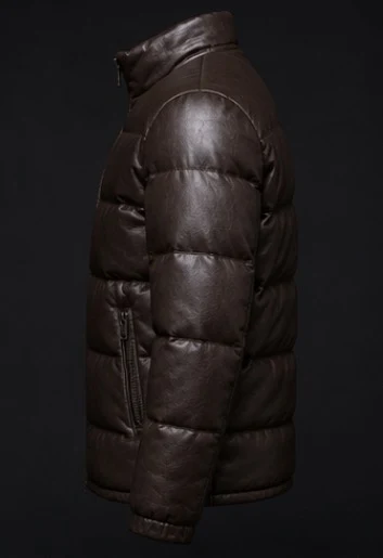 Leather Puffer Jacket, view 3 product style