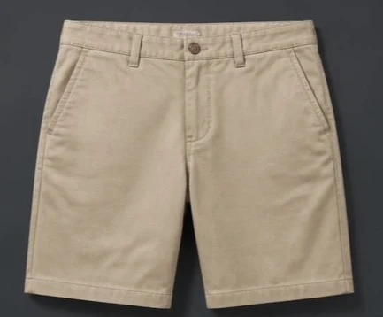 Cotton Chino Shorts representing Men's Shorts